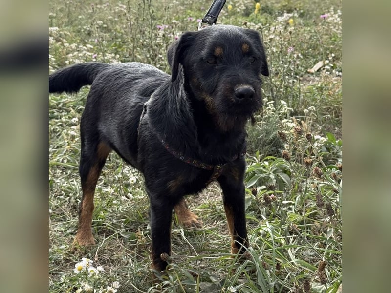 Ricky ein unglücklicher Engelchen