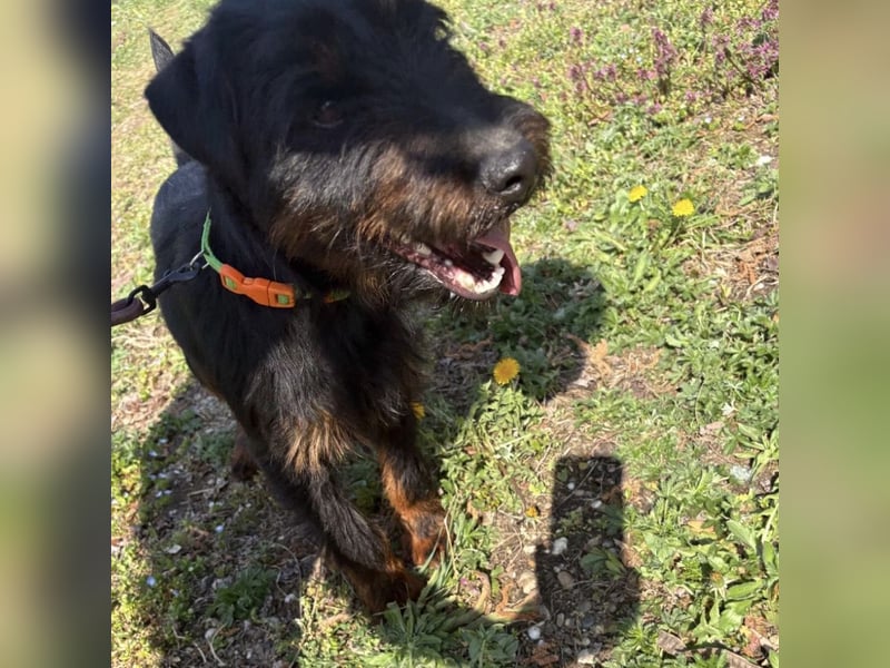 Dora ein kleiner Wirbelwind