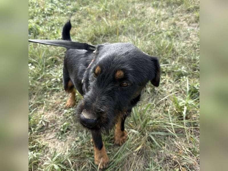 Ricky ein unglücklicher Engelchen