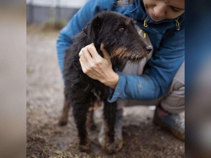 Dina eine richtige Kuschelmaus