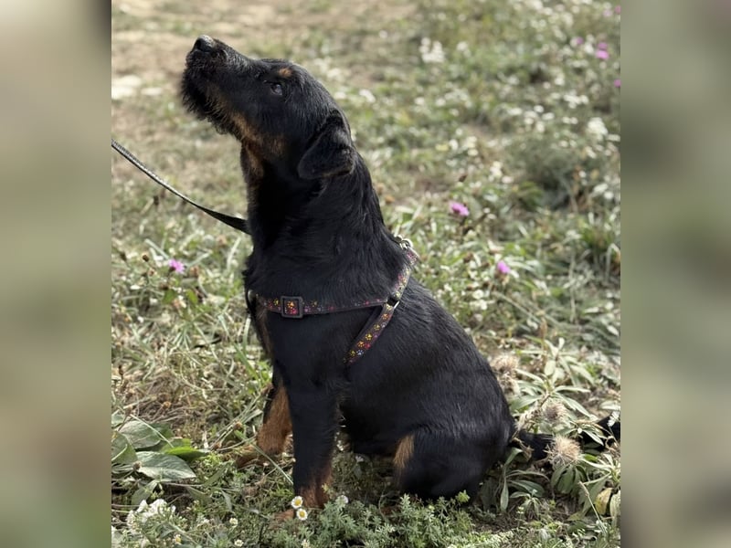 Ricky ein unglücklicher Engelchen