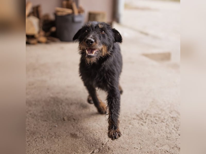 Dina eine richtige Kuschelmaus