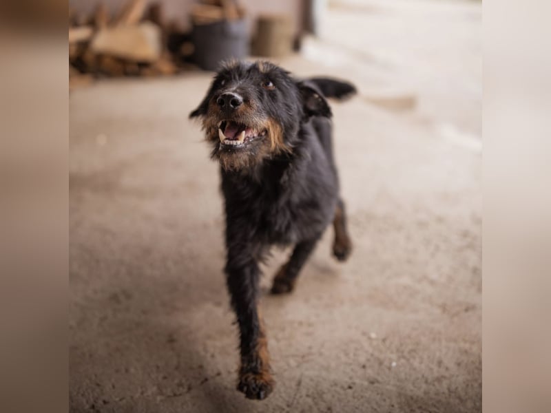 Dina eine richtige Kuschelmaus