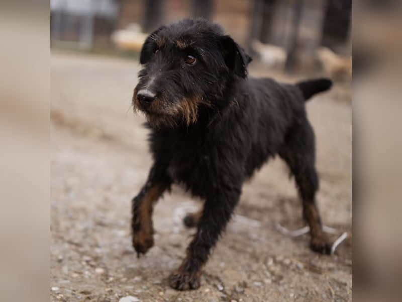 Dina eine richtige Kuschelmaus