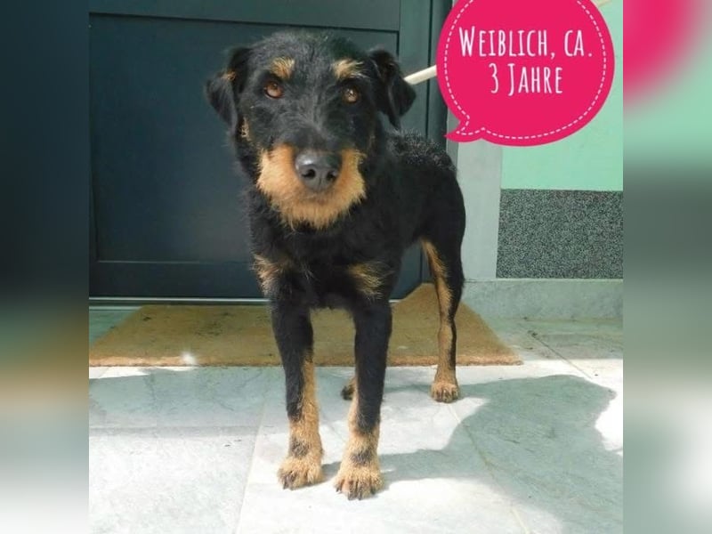 No name - wundervolles Mädchen