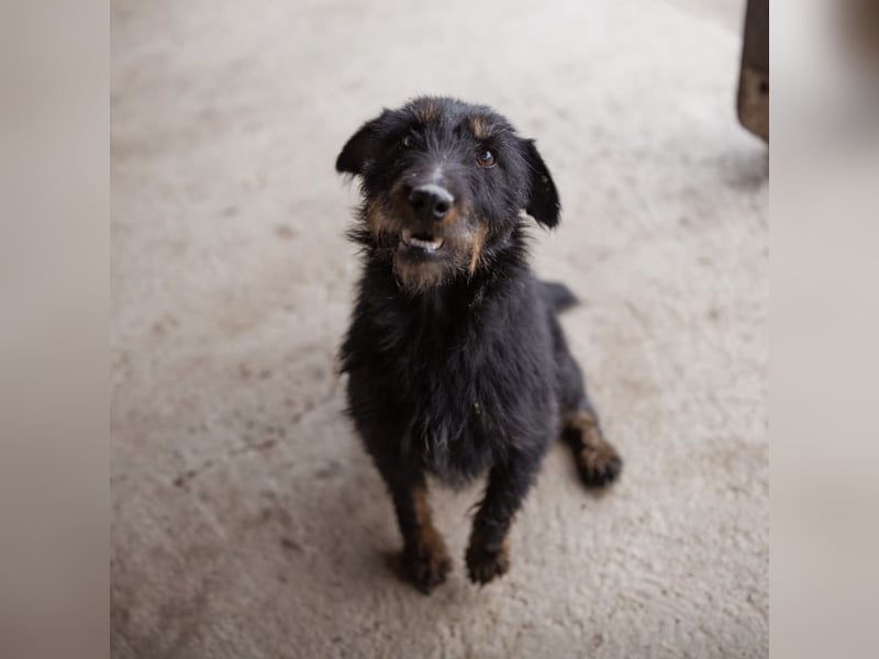 Dina eine richtige Kuschelmaus