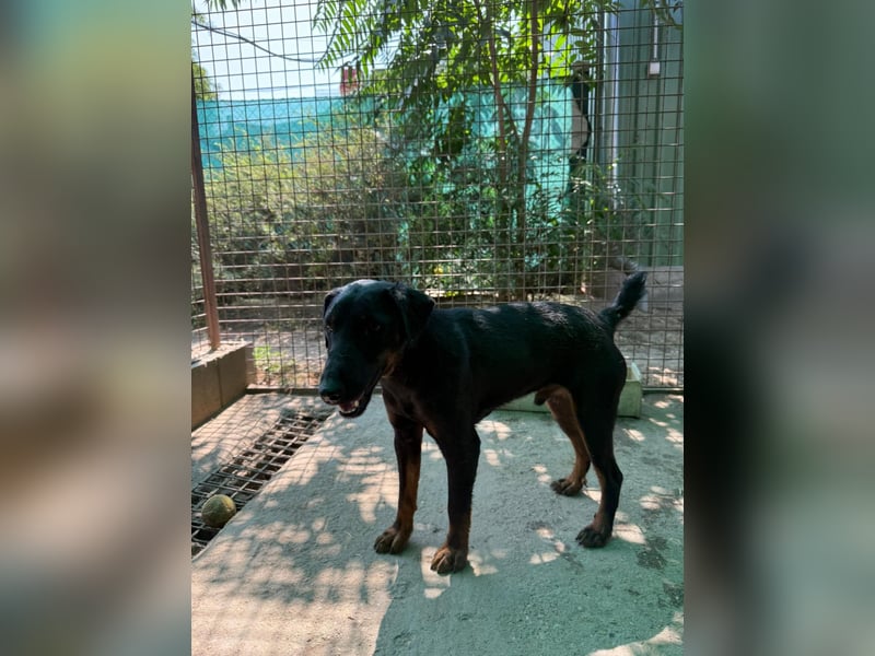 Forest will das Leben kennenlernen