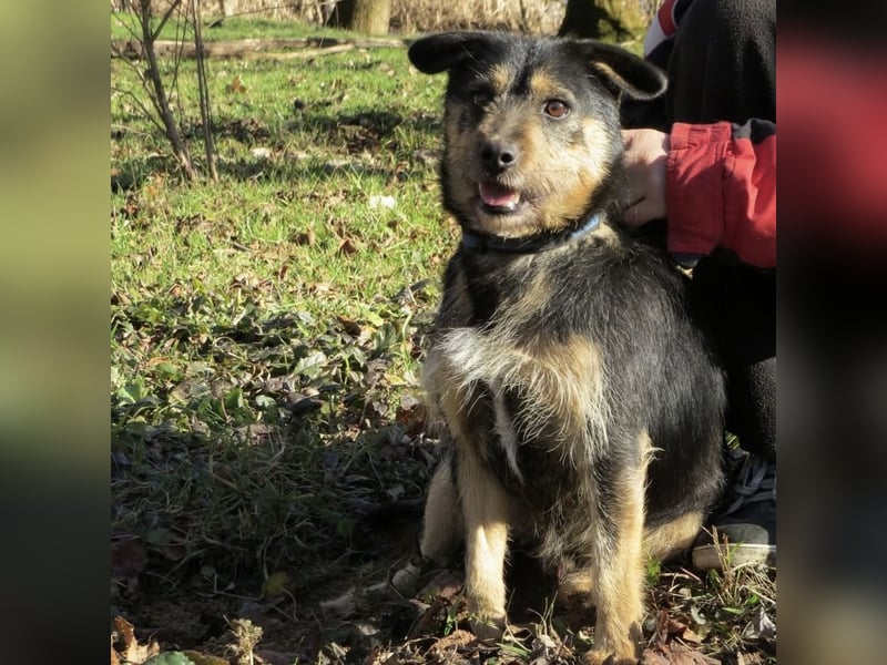 Bobek- ein Schatz zum lieb haben