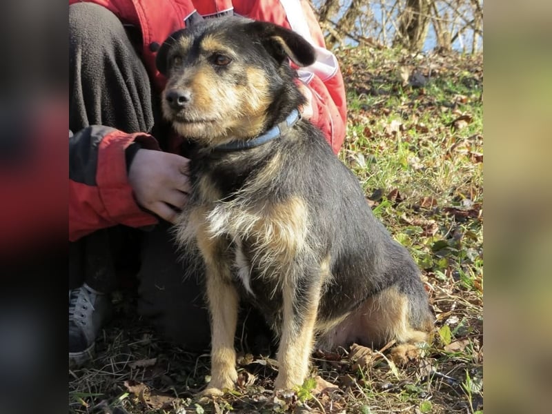 Bobek- ein Schatz zum lieb haben
