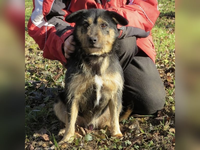 Bobek- ein Schatz zum lieb haben