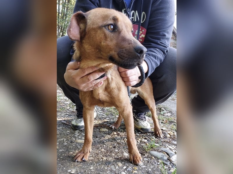 Zuri ein vitaler Bub