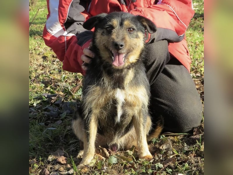 Bobek- ein Schatz zum lieb haben