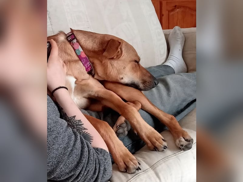 DELLA träumt vom eigenen Körbchen