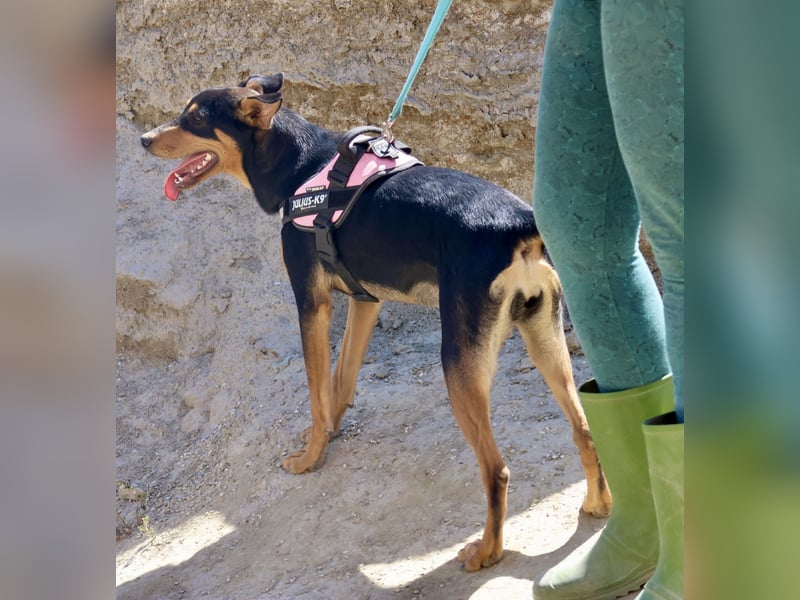 Amy, offen, neugierig und intelligent