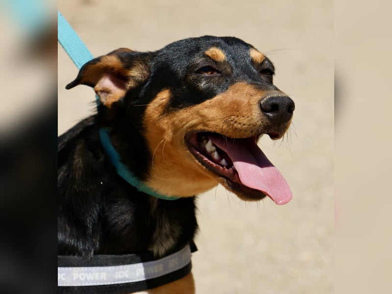 Amy, offen, neugierig und intelligent