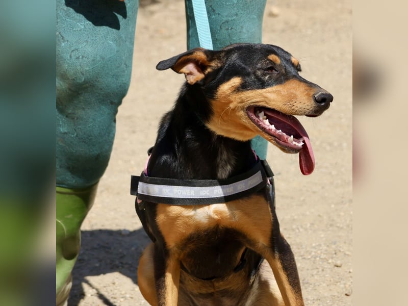 Amy, offen, neugierig und intelligent