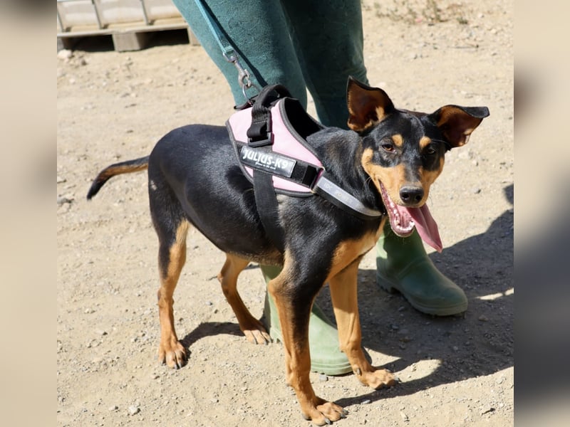 Amy, offen, neugierig und intelligent