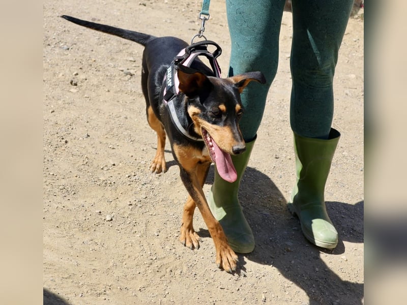 Amy, offen, neugierig und intelligent