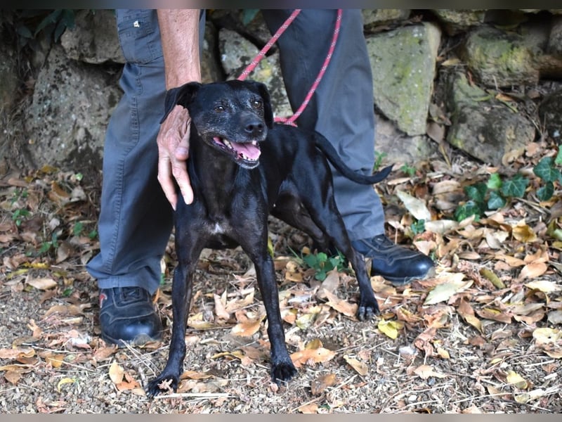 Melisande - Geheimcode "Wiesenelfe"