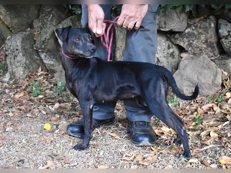 Melisande - Geheimcode "Wiesenelfe"