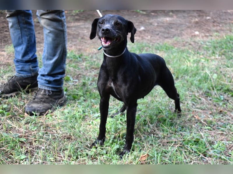 Melisande - Geheimcode "Wiesenelfe"