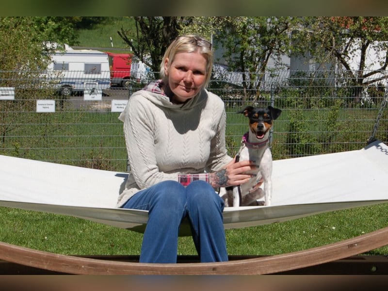Amy Floh - flippig, verspielt und verschmust - Tierhilfe Franken e.V.