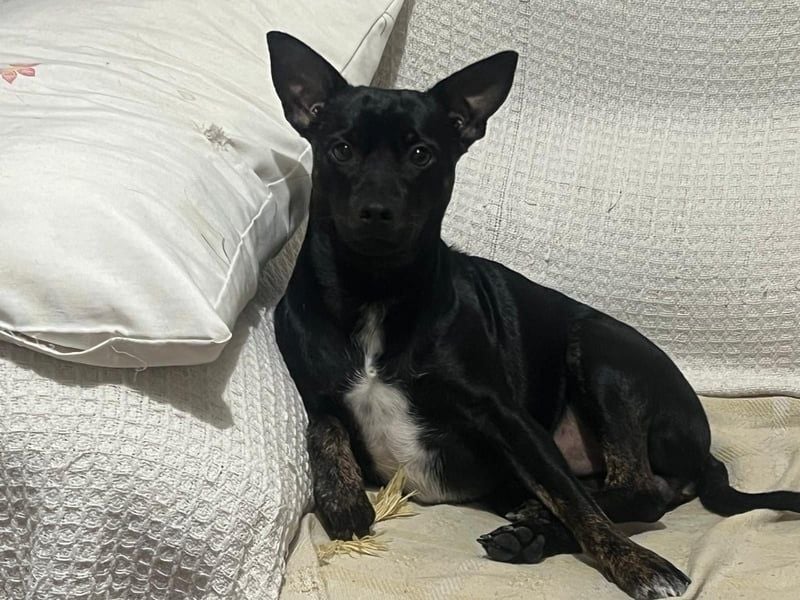 Marco, wünscht sich wieder eine Familie