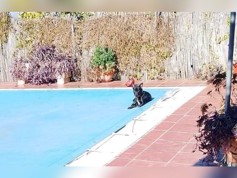 Marco, wünscht sich wieder eine Familie