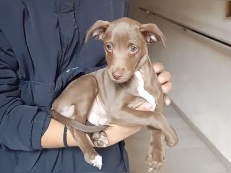 Fran(k) auf Familiensuche