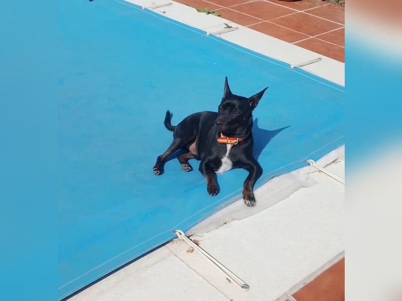 Marco, wünscht sich wieder eine Familie