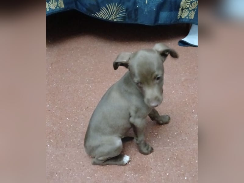 Fran(k) auf Familiensuche