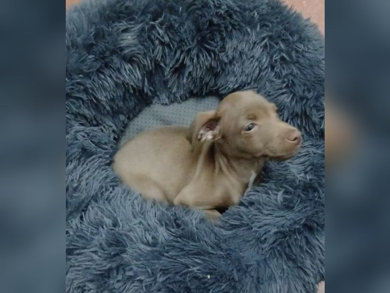 Fran(k) auf Familiensuche