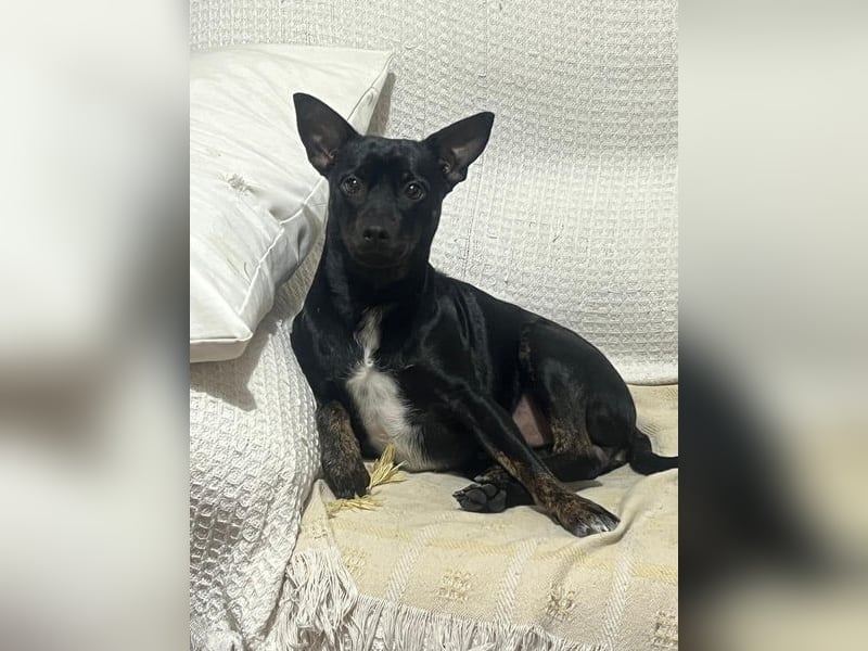 Marco, wünscht sich wieder eine Familie