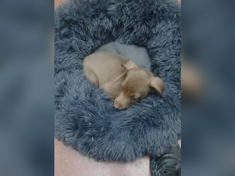 Fran(k) auf Familiensuche