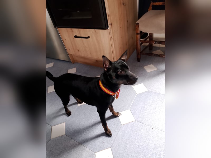 Marco-wünscht sich wieder eine Familie