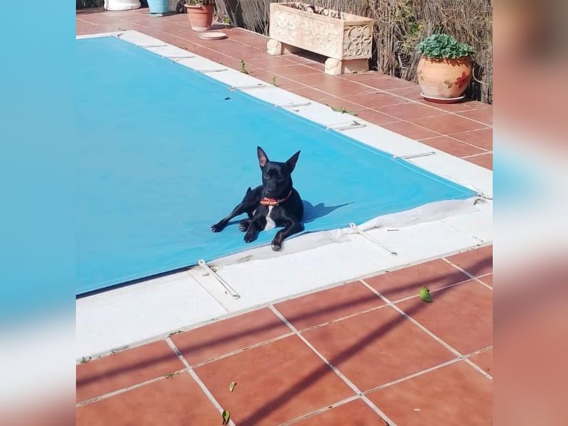 Marco, wünscht sich wieder eine Familie