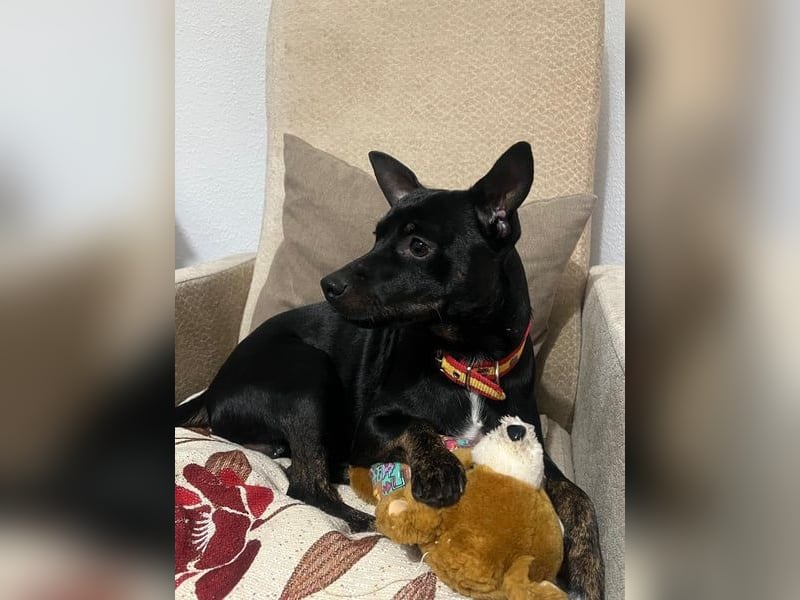 Marco, wünscht sich wieder eine Familie