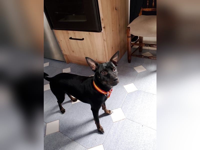 Marco, wünscht sich wieder eine Familie