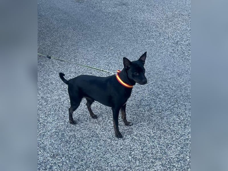 Marco, wünscht sich wieder eine Familie