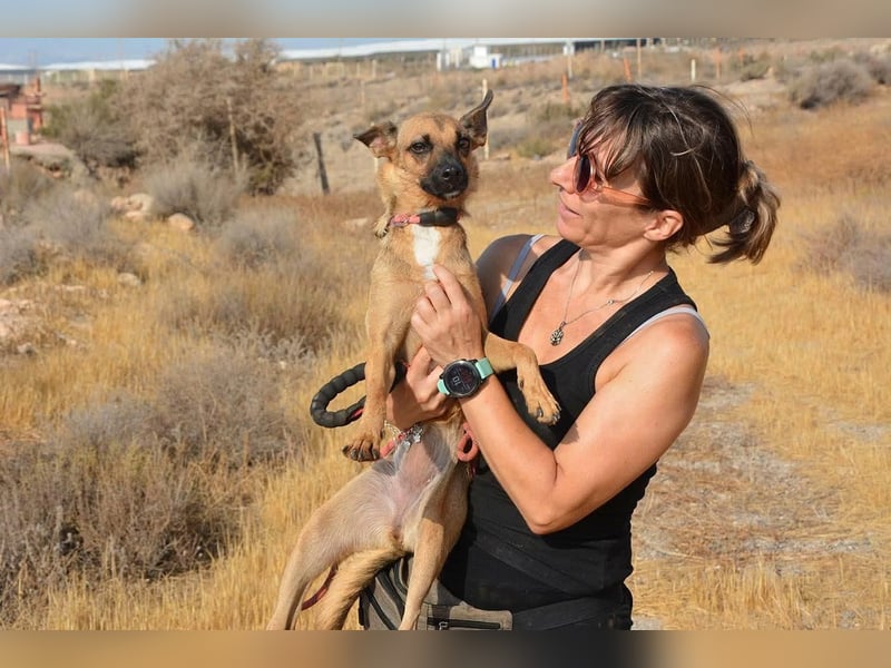 KIKA das fröhliche Hundemädchen