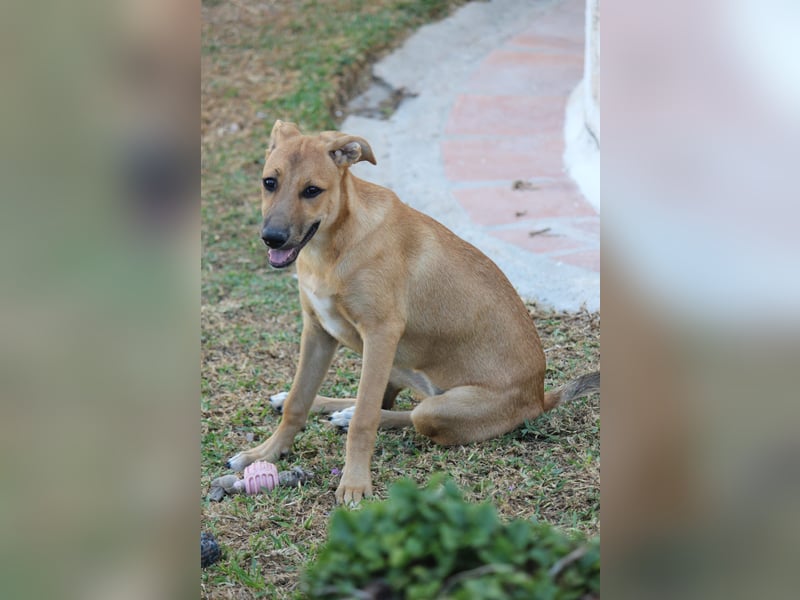 DELLA träumt vom eigenen Körbchen
