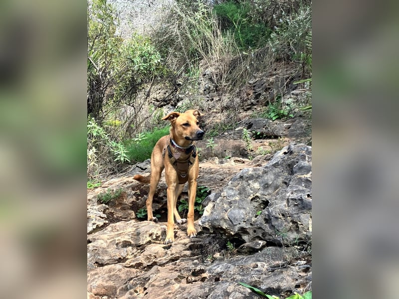 DELLA träumt vom eigenen Körbchen