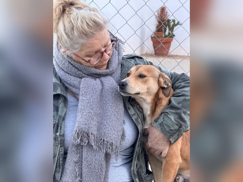 Azor wird dein Herz im Sturm erobern