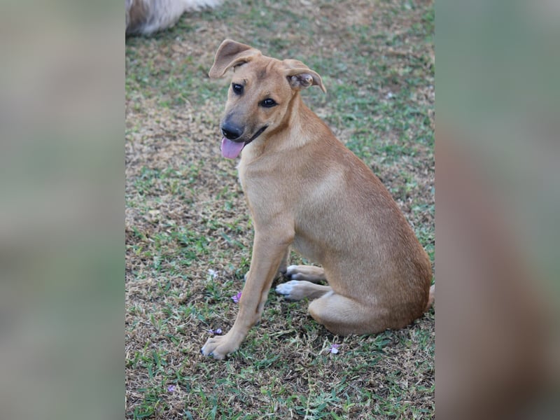 DELLA träumt vom eigenen Körbchen