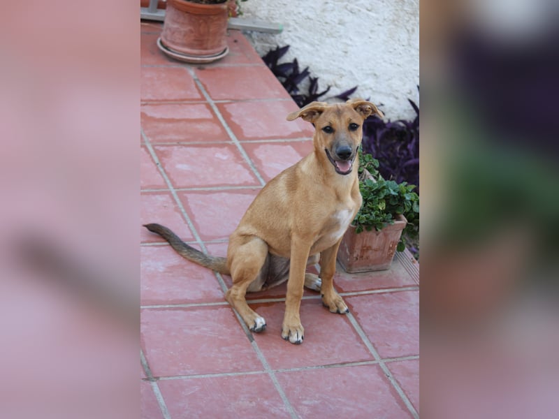 DELLA träumt vom eigenen Körbchen