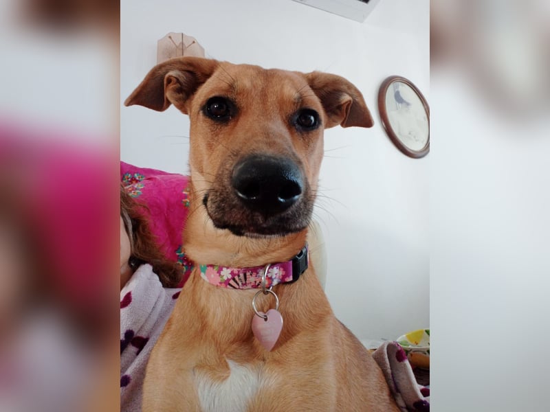 DELLA träumt vom eigenen Körbchen