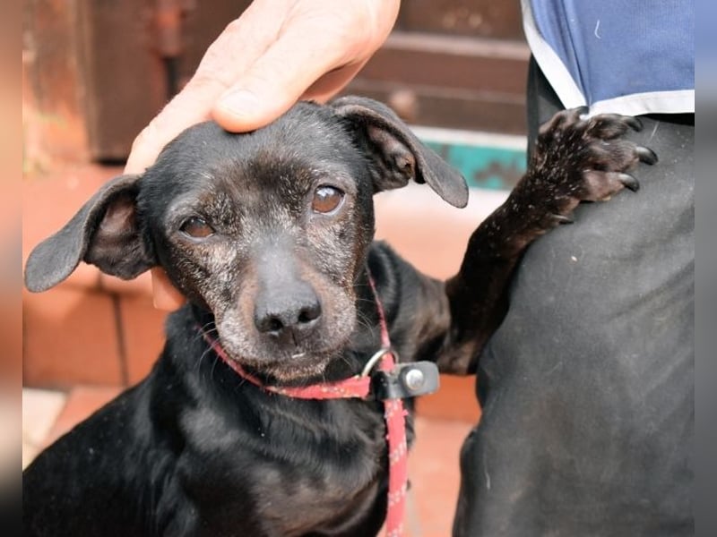 Ivonelle - Wenn Jahre dreifach zählen