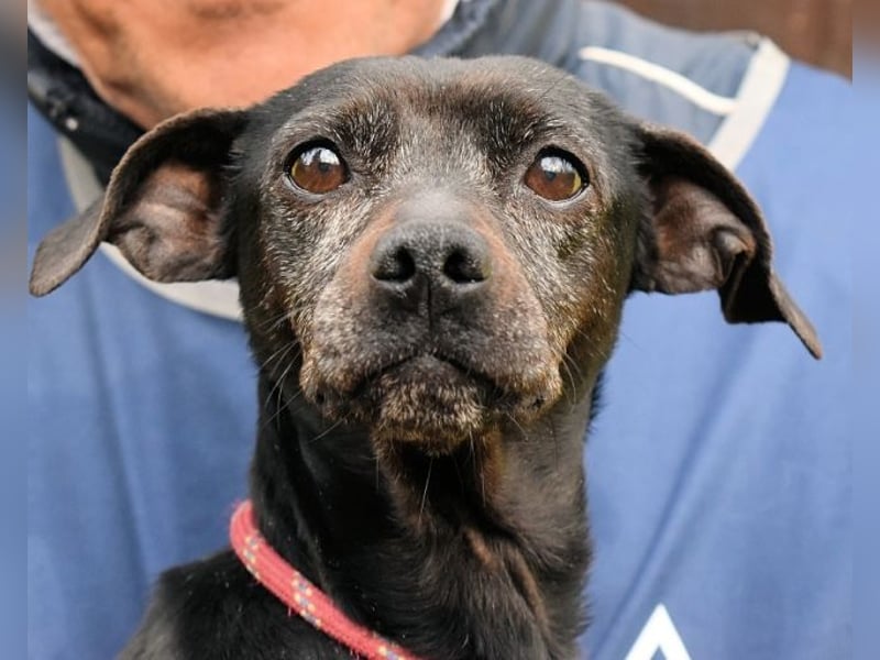 Ivonelle - Wenn Jahre dreifach zählen