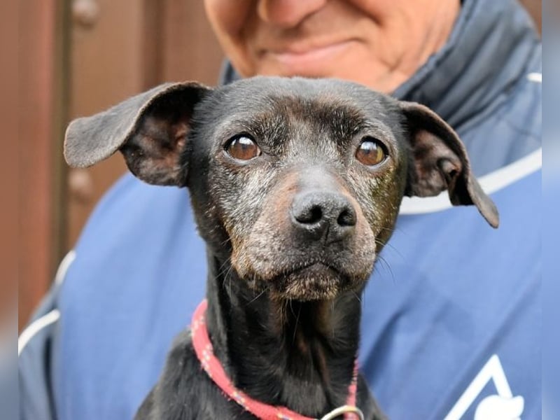 Ivonelle - Wenn Jahre dreifach zählen