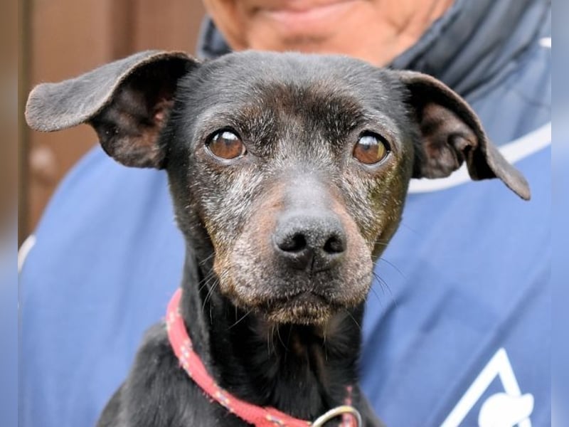 Ivonelle - Wenn Jahre dreifach zählen